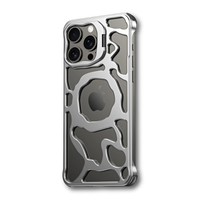 Skelett iPhone Hülle