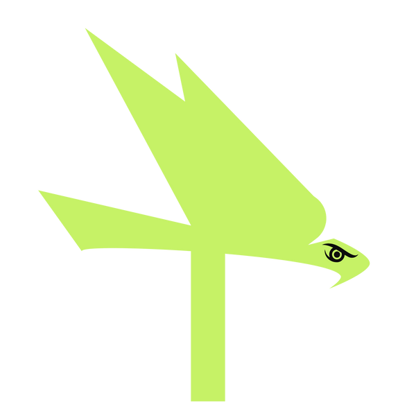 TecHawk